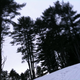 Image for article titled Motion Gallery 2